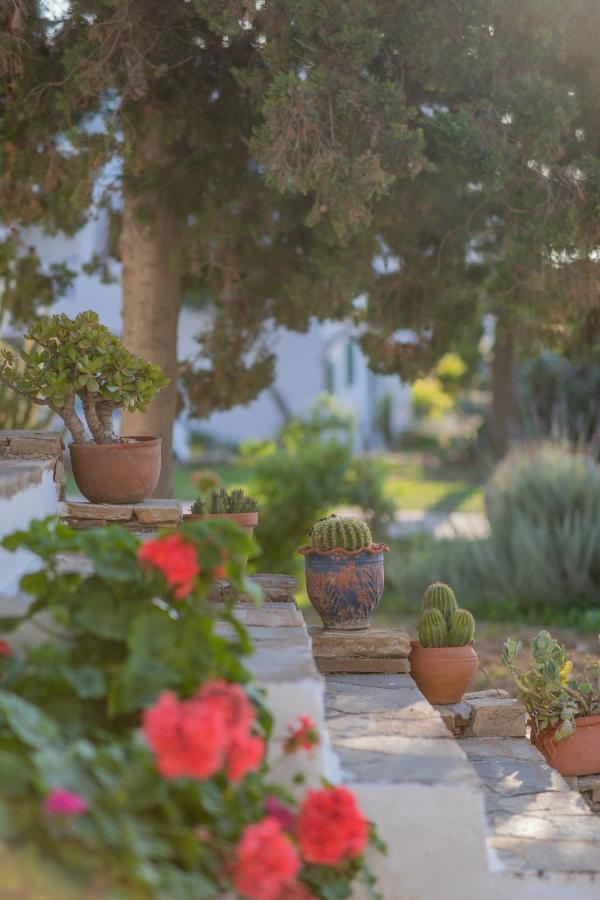 Antonina Hotel Agia Anna  Buitenkant foto