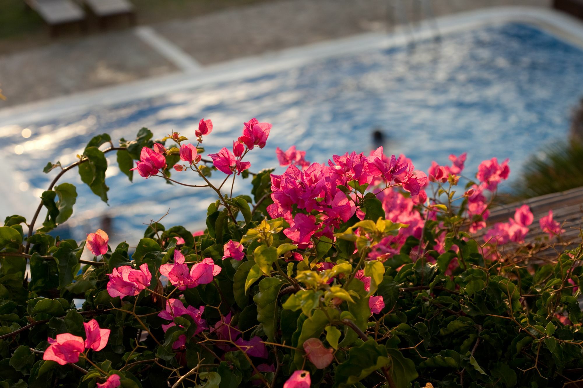 Antonina Hotel Agia Anna  Buitenkant foto